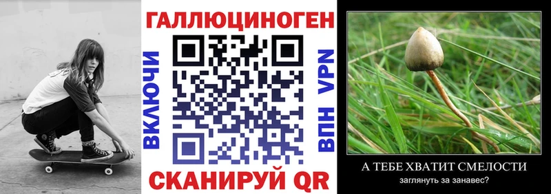 Псилоцибиновые грибы прущие грибы  закладка  Салаир 